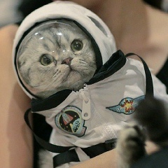 Наталья Макарова, 11.02, Санкт-Петербург