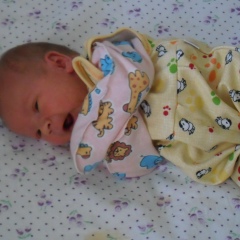 Нет Нет, 02.09.1987, Санкт-Петербург