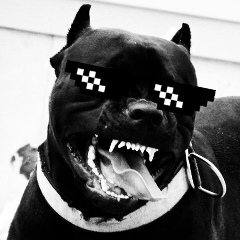 Данил Карпов, 30.12.2003, Белореченский