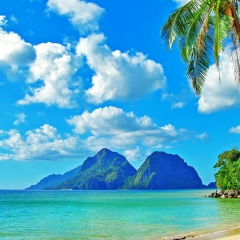 Дми Про, 30.07, Пермь