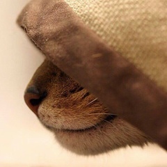 Александр Касмынин, 09.03.1988