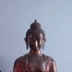 Виктория Шунько