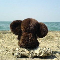 Галина Цветкова, 09.05.1987, Москва