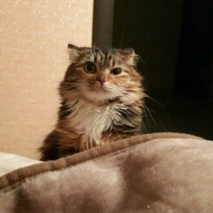 Карина Капис, 05.09, Алматы