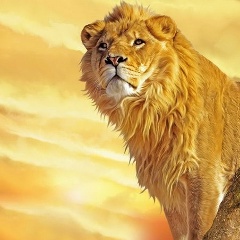 Дмитрий Беляков, 23.08.1980, Череповец