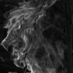 Дмитрий Панфилов, Воронеж