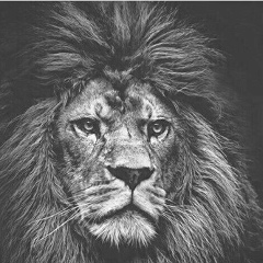 Мақсат Қасымбеков, 24.02, Сарыагаш