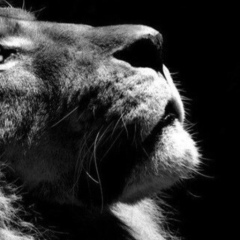 Timur Asylbaev, 24.07.1991, Алматы