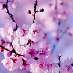 Дарья Перфильева, 13.02, Севастополь