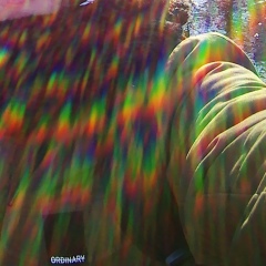 Денис Козловский, Полтава