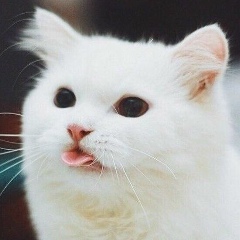 Женя Котовский, 18.09.1987