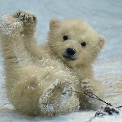 Татьяна Серебрякова, Томск