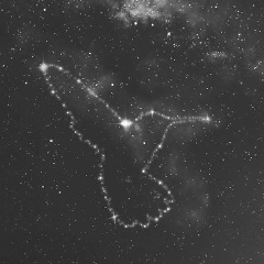 Вася Пупкин, Санкт-Петербург