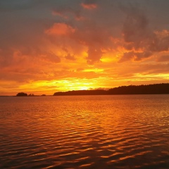 Алексей Вертков, 13.10.1987, Санкт-Петербург