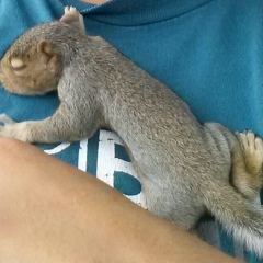 Берекет Жанибеков, 11.11, Актау