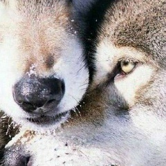 Михаил Моисеев, Екатеринбург