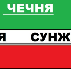 Mans Daudov, 16.05, Грозный