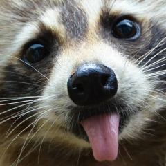 Евгений Парфенов, 30.11.1984, Якутск