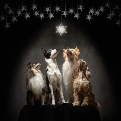 Мария Петрова, 02.08.1983, Алматы