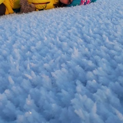 Юлия Хамаганова, Санкт-Петербург