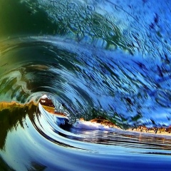 Максим Алексеев, Санкт-Петербург