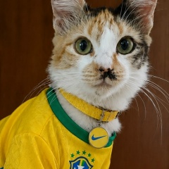 Crisinha Amo Gatos, 27.02