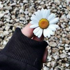 Анна Липковская, 30.12.1985, Тюмень