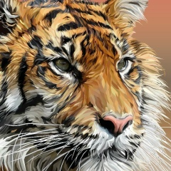 Михаил Михайлов, 14.01, Москва