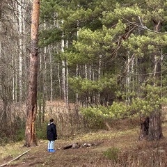 Ксения Симонова