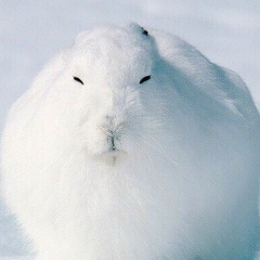 Мария Егорова, 22.04, Москва