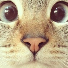 Татьяна Цуканова, 24.04, Киев