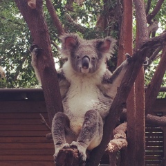 Natalia Hill, 31.05, Darwin