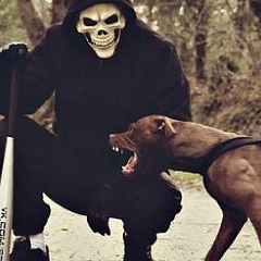 West Hooligan, 07.04.1989, Москва