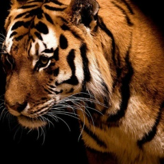 Алмас Нурали, 01.10.1992, Алматы