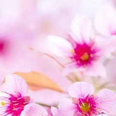 Айсылу Садыбекова, 05.06.1983