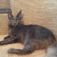 Мария Жукова, 03.04, Ижевск