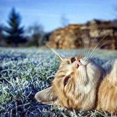 Александр Соколов, 02.11, Орск