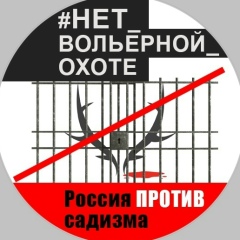 Ольга Алыпова, 11.02.1962, Калининград