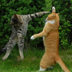 Руслан Каримов, Уфа