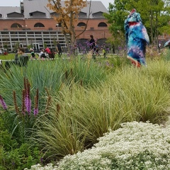 Светлана Троицкая, 25.08.1988, Москва