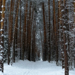 Сергей Мелехин, 28.03