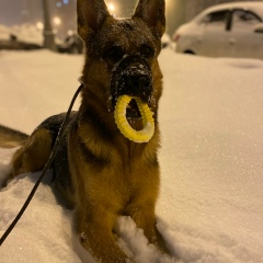 Регина Никитина, 08.02, Москва