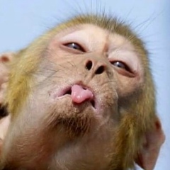 Роза Ибрагимова, 13.09