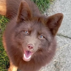 Юлия Коба, 23.12