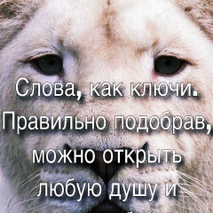 Антон Радионов, 03.02.1985, Пермь