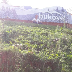 Виталий Новак, 24.06