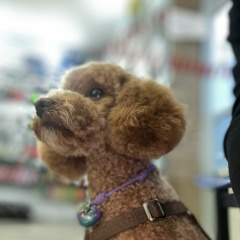 Эльвира Саляхова, 28.05, Ноябрьск