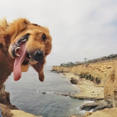 Евгений Бибенин, 29.08, Красноярск