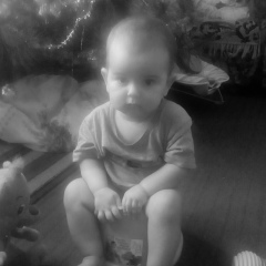 Александр Костроба, Вольногорск