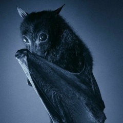 Юрий Голубкин, Рязань